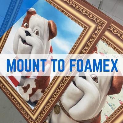 Foamex Foam Printing and Mounting