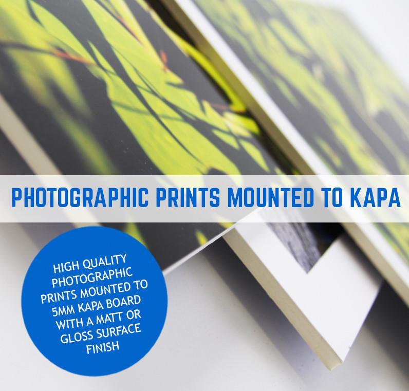 Photographic Prints Mounted To Kappa Board